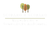 Scofano&Scofano